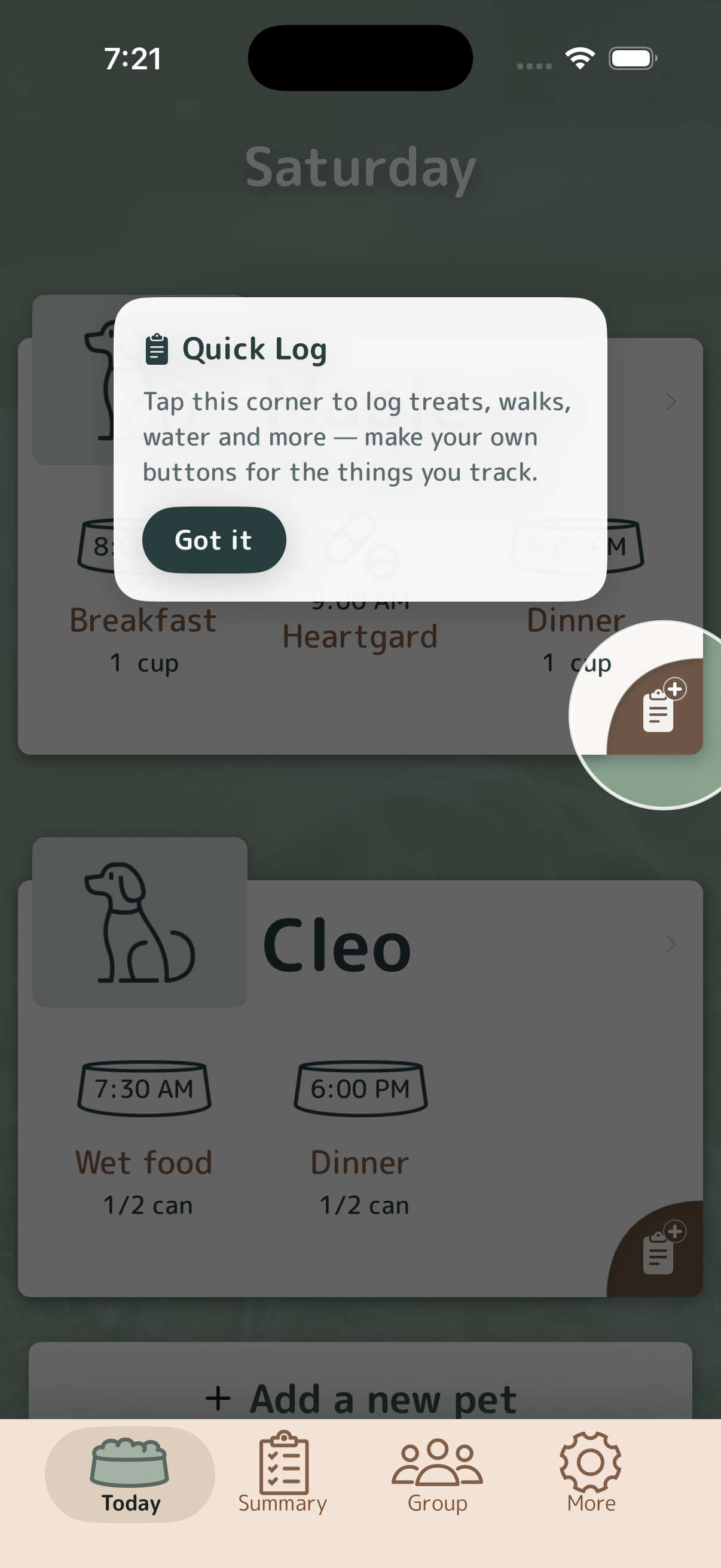 Meal Time For Pets app explaining the Quick Log button for treats, walks, water, and custom care.